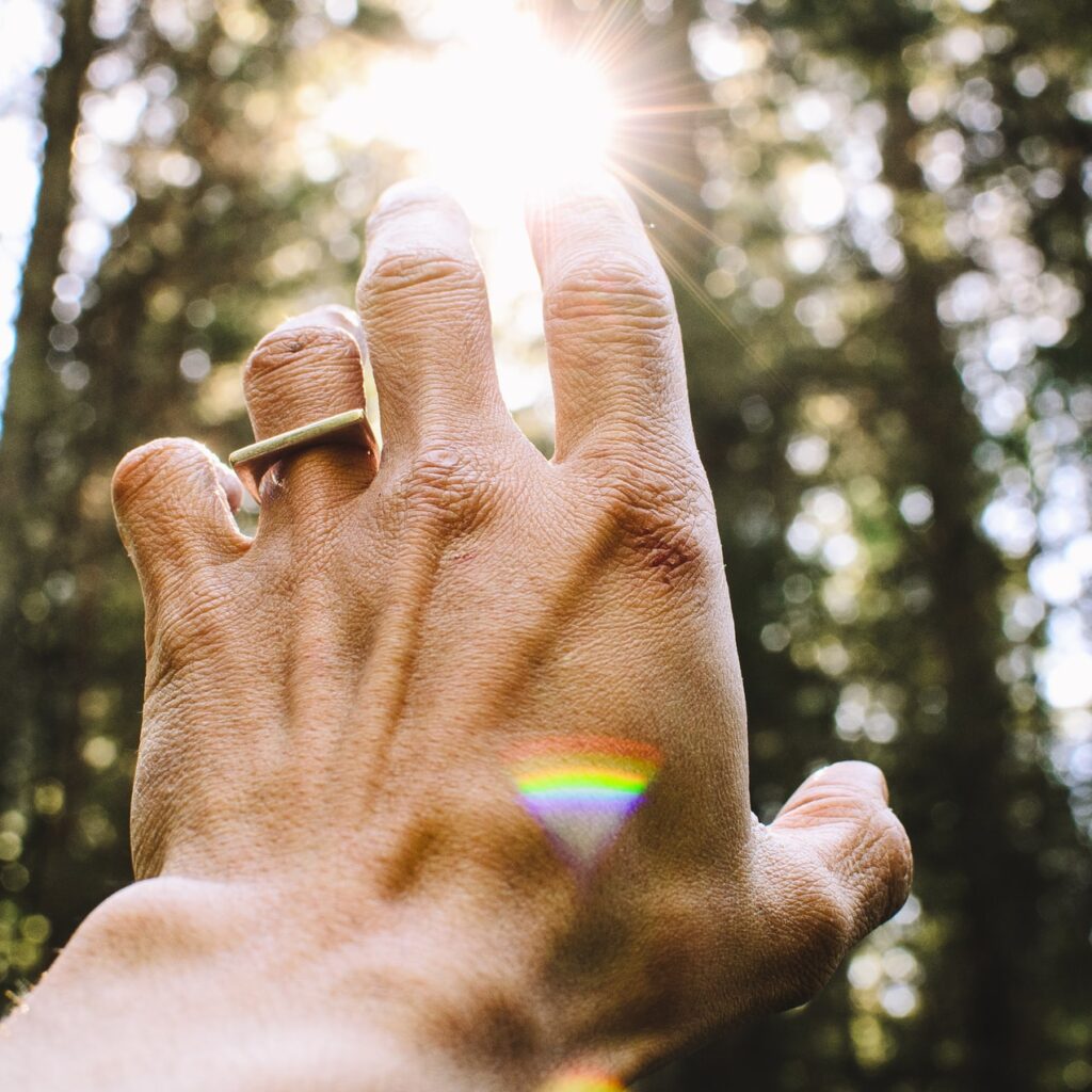 Hand reaches towards sun in forest