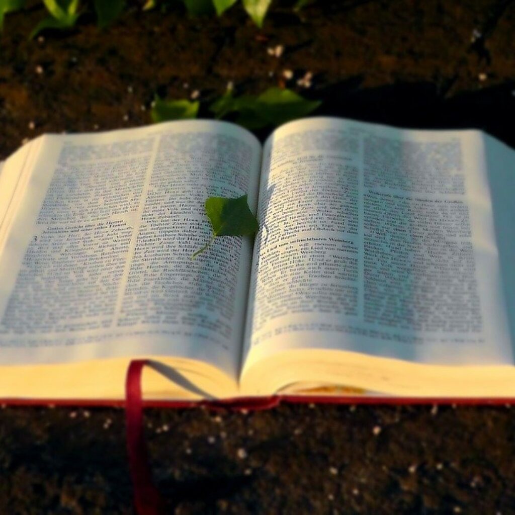 Obeying the word of the Bible - 10 Reasons For Obeying God