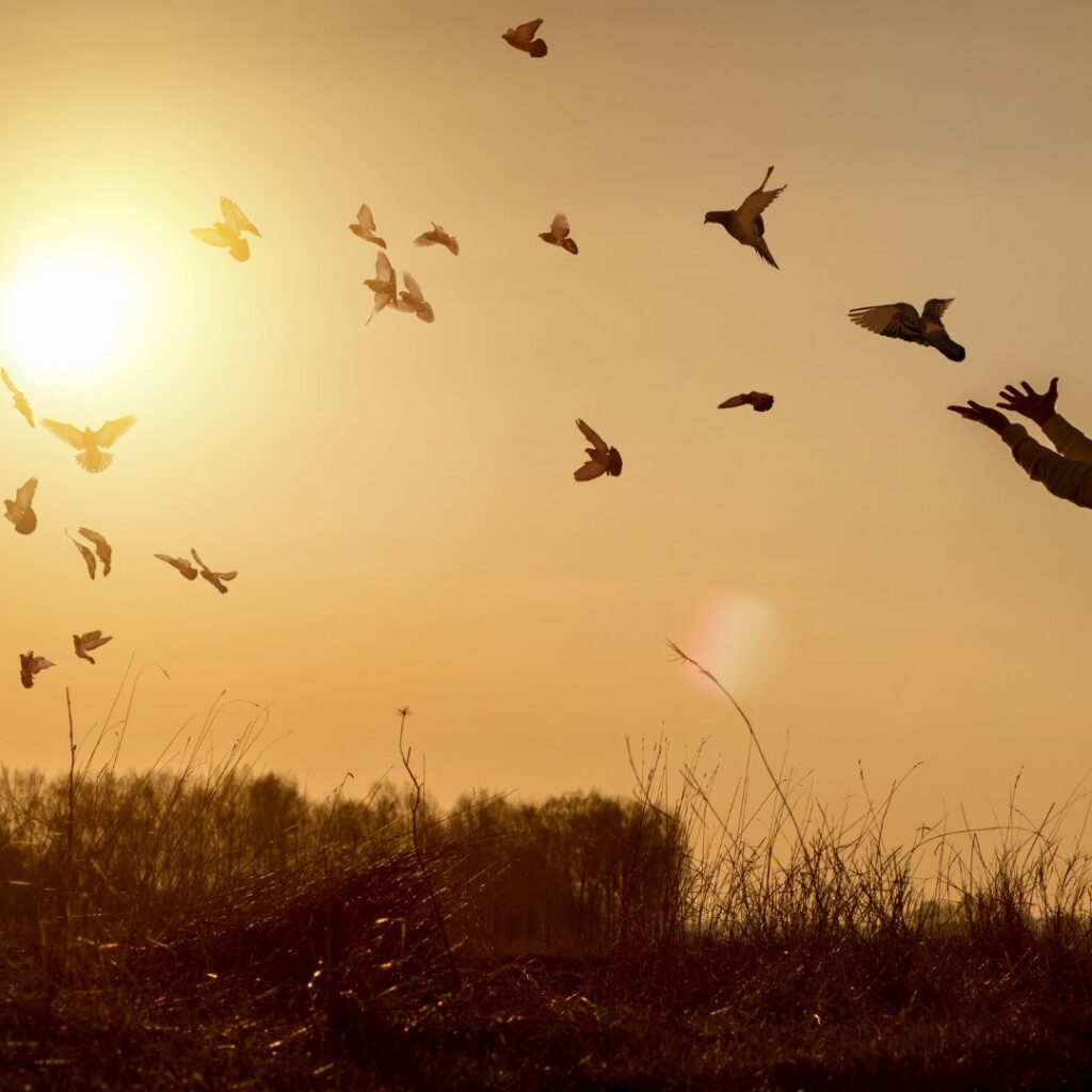 Woman in Sunset Playing With Birds and Sowing Faith in God