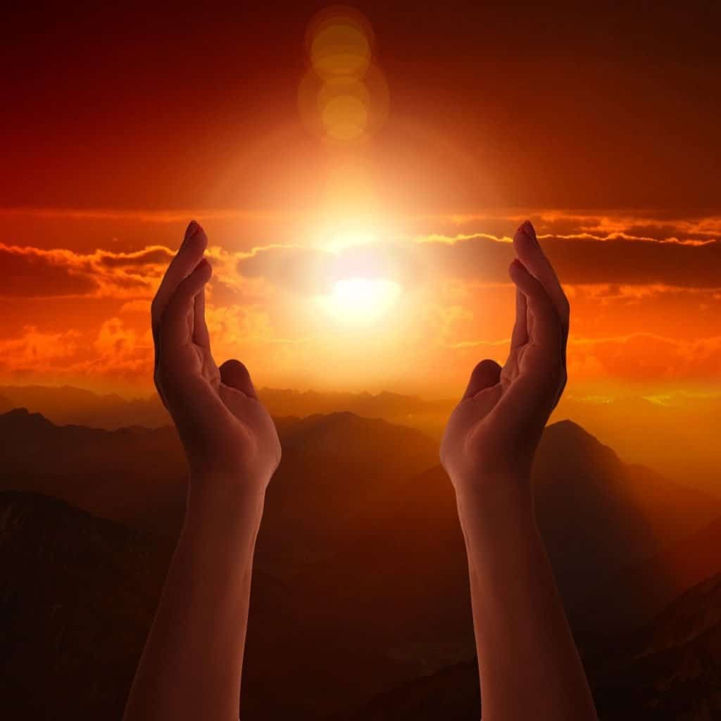 Hands reaching for the sun