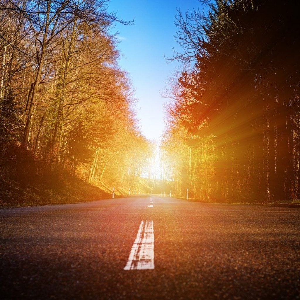 Eine Hauptstraße im Wald