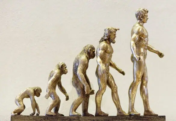 Can Christians Believe in Evolution