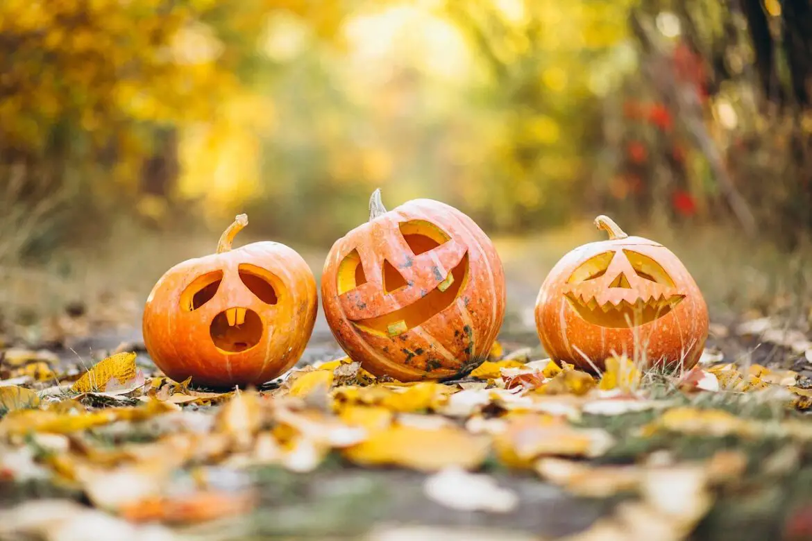 can-christians-celebrate-halloween-assured-faith