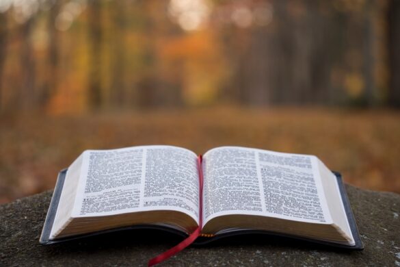 Who Is An Evangelist And What Do They Do Assured Faith