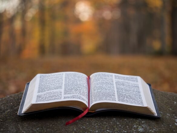 What Do Christians Believe