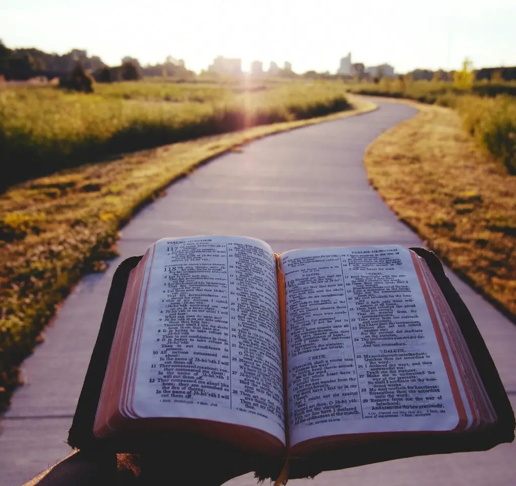 the Bible and a path