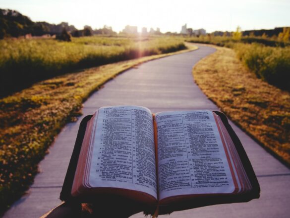 the Bible and a path