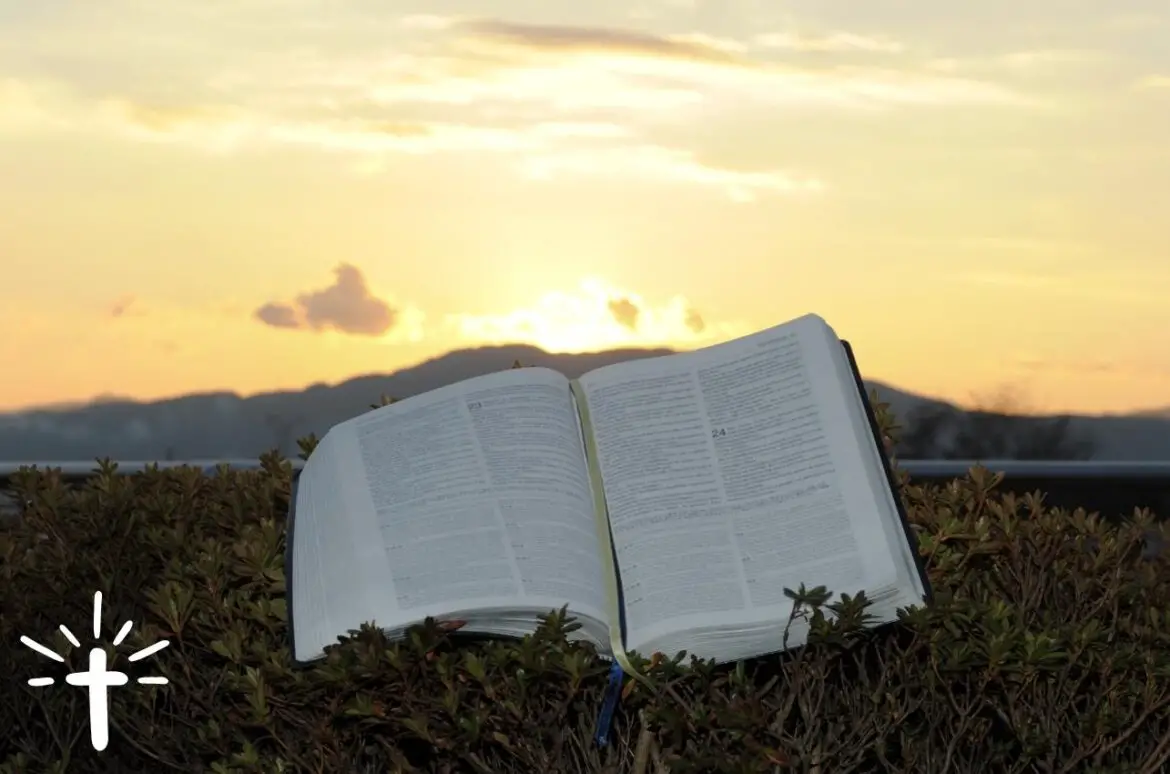 A Bible Placed Outside on The Grass