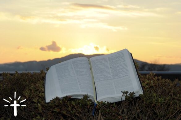 A Bible Placed Outside on The Grass