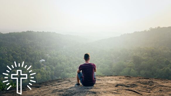 Man Sitting And Looking At Trees