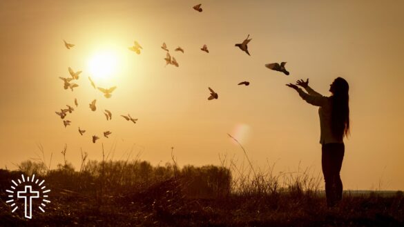 Woman in Sunset Playing With Birds and Sowing Faith in God