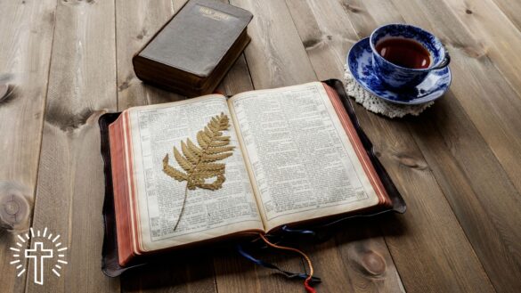 Bible and Devotionals on a Table