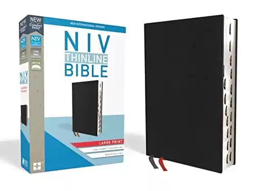 NIV Bible, Large Print